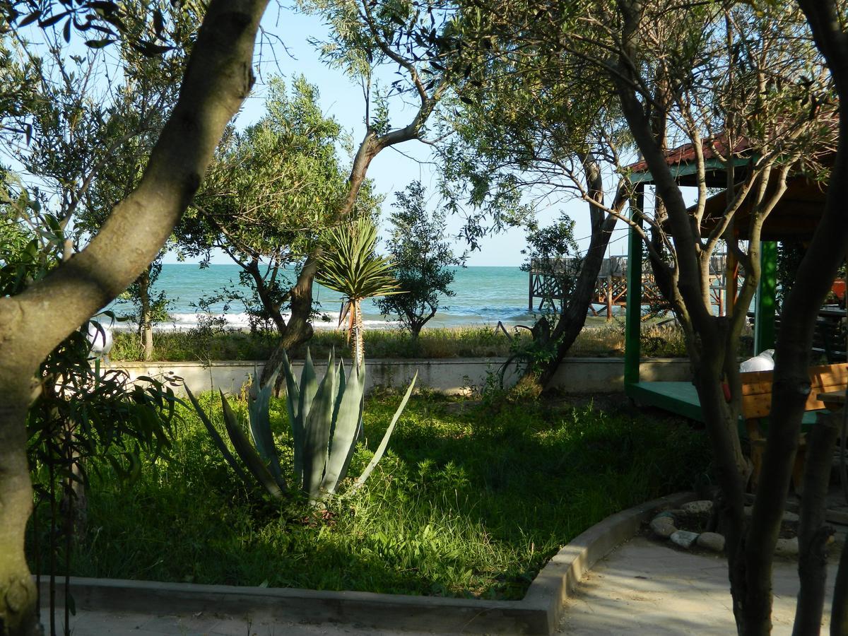 Mavi Dalga Beach Hotel Lokbatan 외부 사진